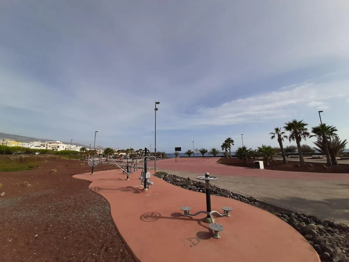 Apartments Alcala Tenerife - Aloe & Cactus