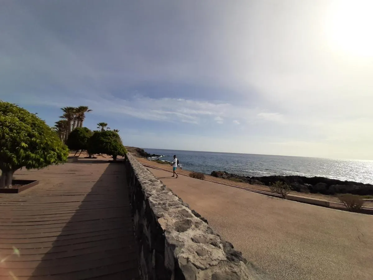 Apartments Alcala Tenerife - Aloe & Cactus
