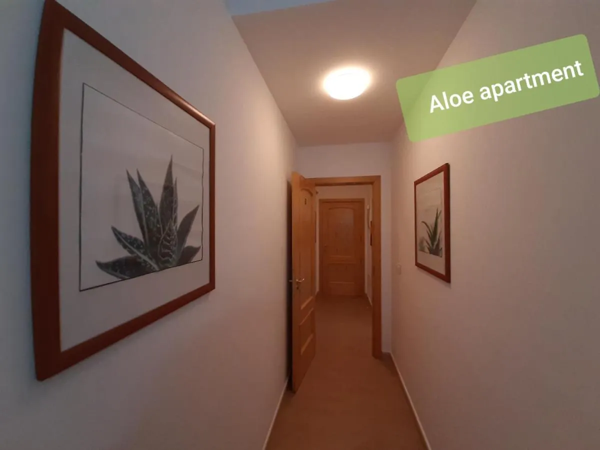 Apartments Alcala Tenerife - Aloe & Cactus Alcala (Tenerife)