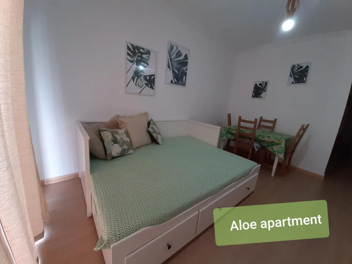 Apartments Alcala Tenerife - Aloe & Cactus  Alcala (Tenerife)
