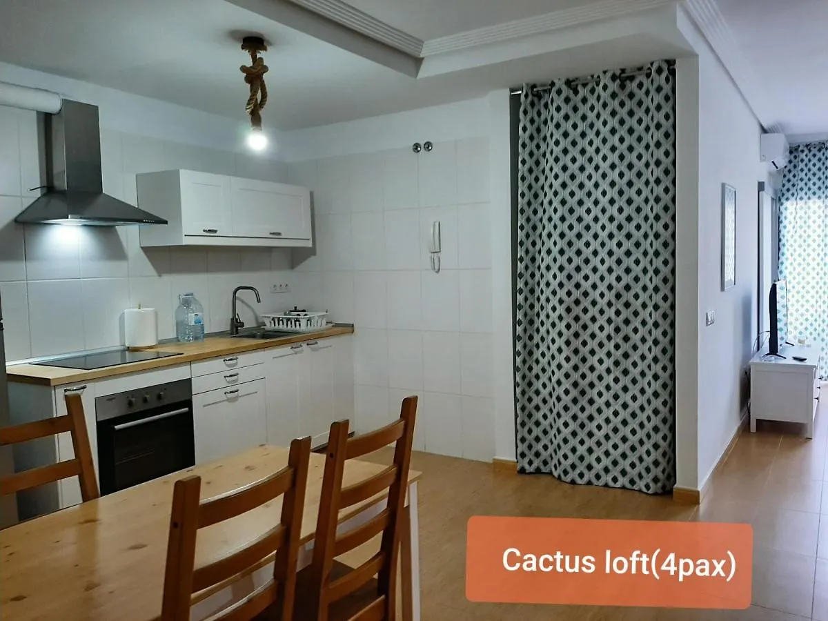Apartments Alcala Tenerife - Aloe & Cactus Spain