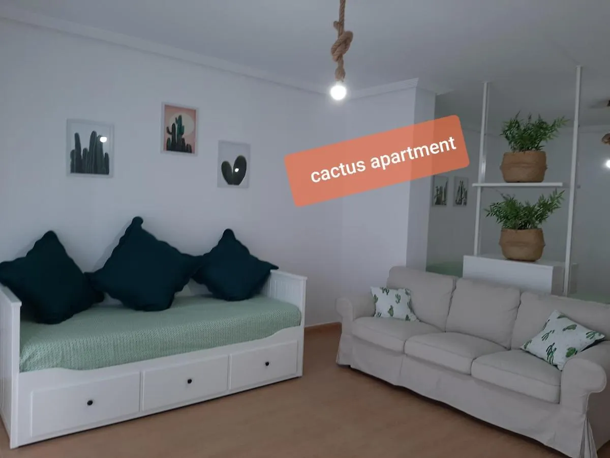 Apartments Alcala Tenerife - Aloe & Cactus