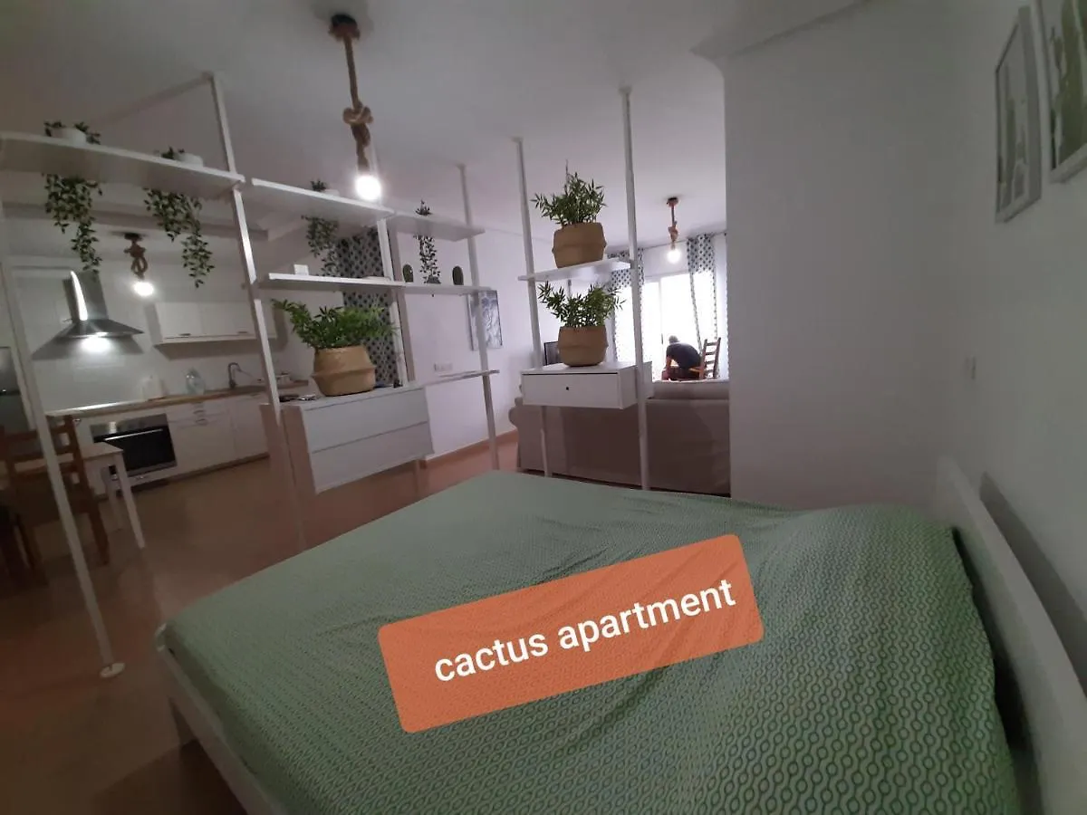Apartments Alcala Tenerife - Aloe & Cactus