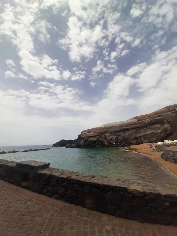 Apartments Alcala Tenerife - Aloe & Cactus